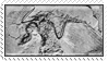 Archaeopteryx stamp