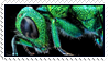 Cuckoo wasp stamp