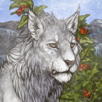 A gray primal felis lion in a snowy landscape