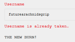 username futurearachnidsgrip. response: "THE NEW BURN!" in gray text