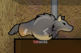 [Image: yolanda.png]
