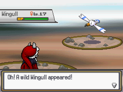 Oh! A wild Wingull appeared! (beginning of a standard wild battle)