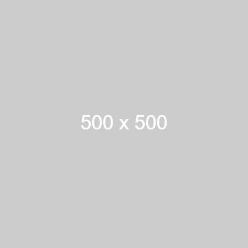 dummy_500x500_ffffff_cccccc.png
