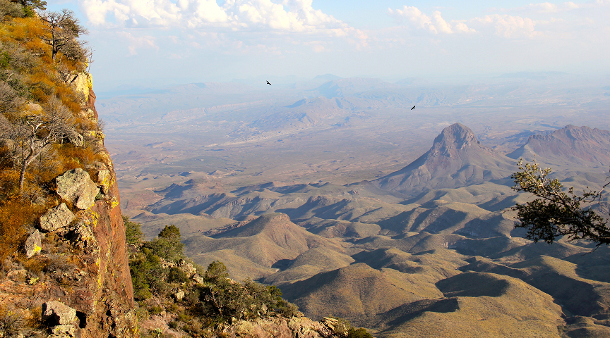 Photograph of a vista in the interior deserts of northern Mexico. Big bluffs overlook a dry hillscape. A bird can be seen flying overhead.