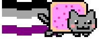 asexual/ace