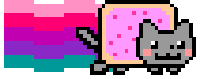 bi-lesbian (1/2)