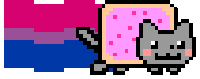 bisexual