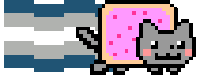 gray*rose*