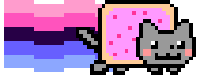 omnisexual