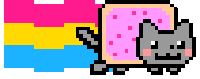 pansexual