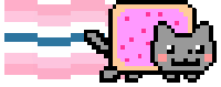 pomoaroace/pomorose
