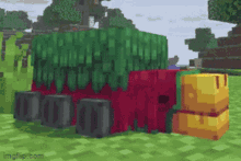 IMG_0263.gif
