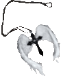 /yan