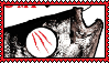 96818142_yMgvcPpjyS76Who.png