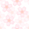 cherry blossoms bg
