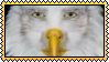 human eagle stamp