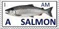 I am a salmon