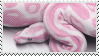 pink snake