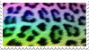 rainbox leopard