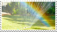 sprinkler