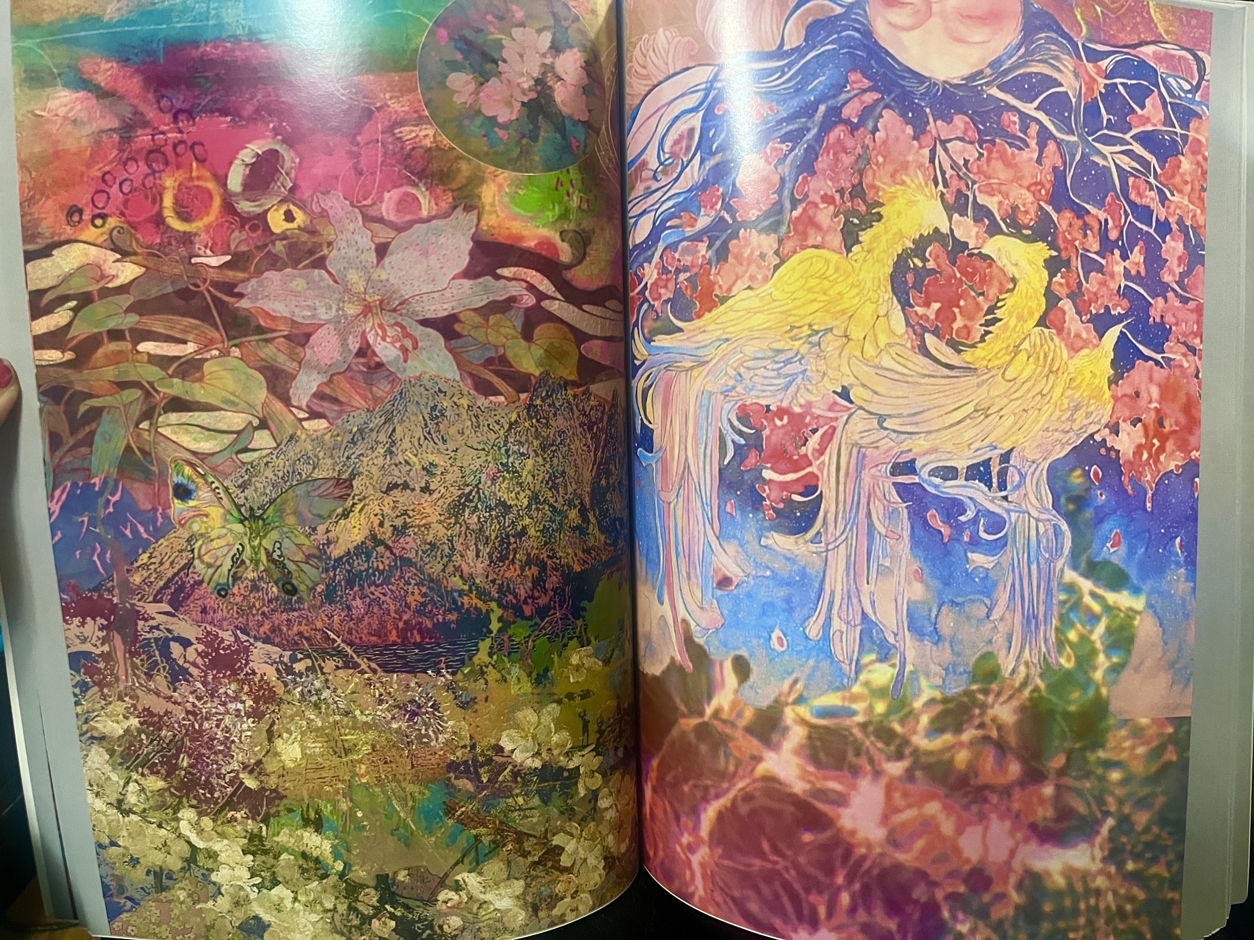 Book interior page 2