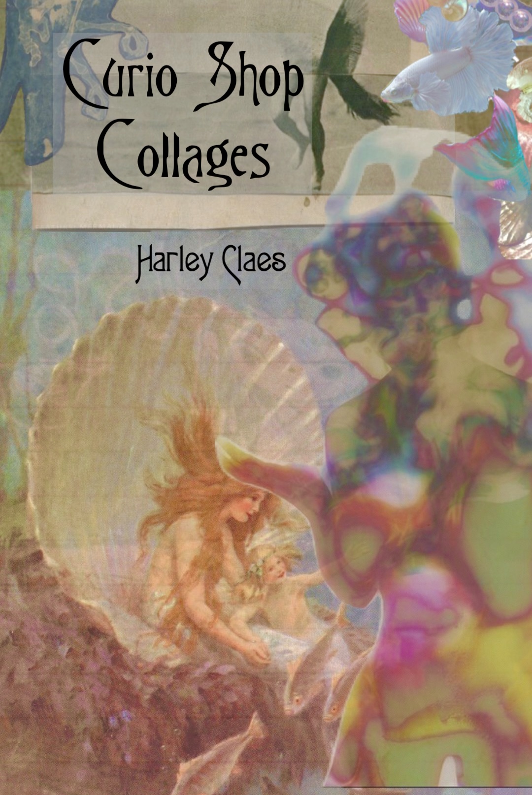 Book 4 Cover