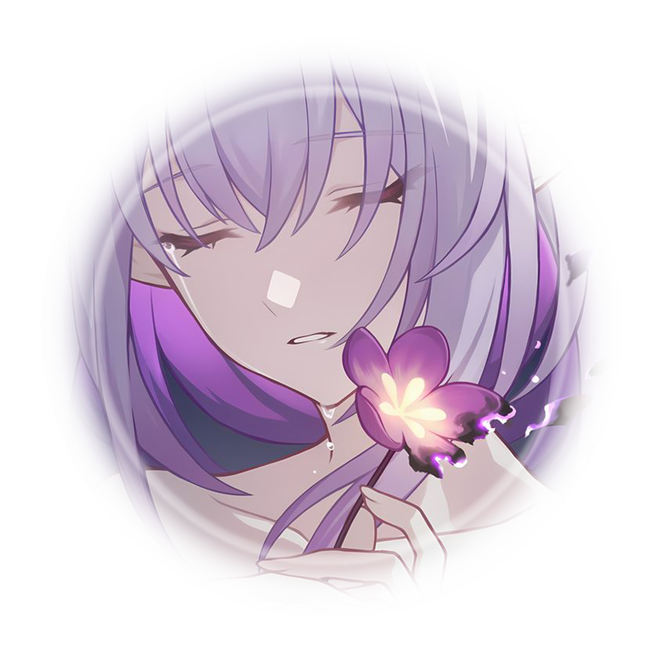 castorice ﹐ honkai star rail