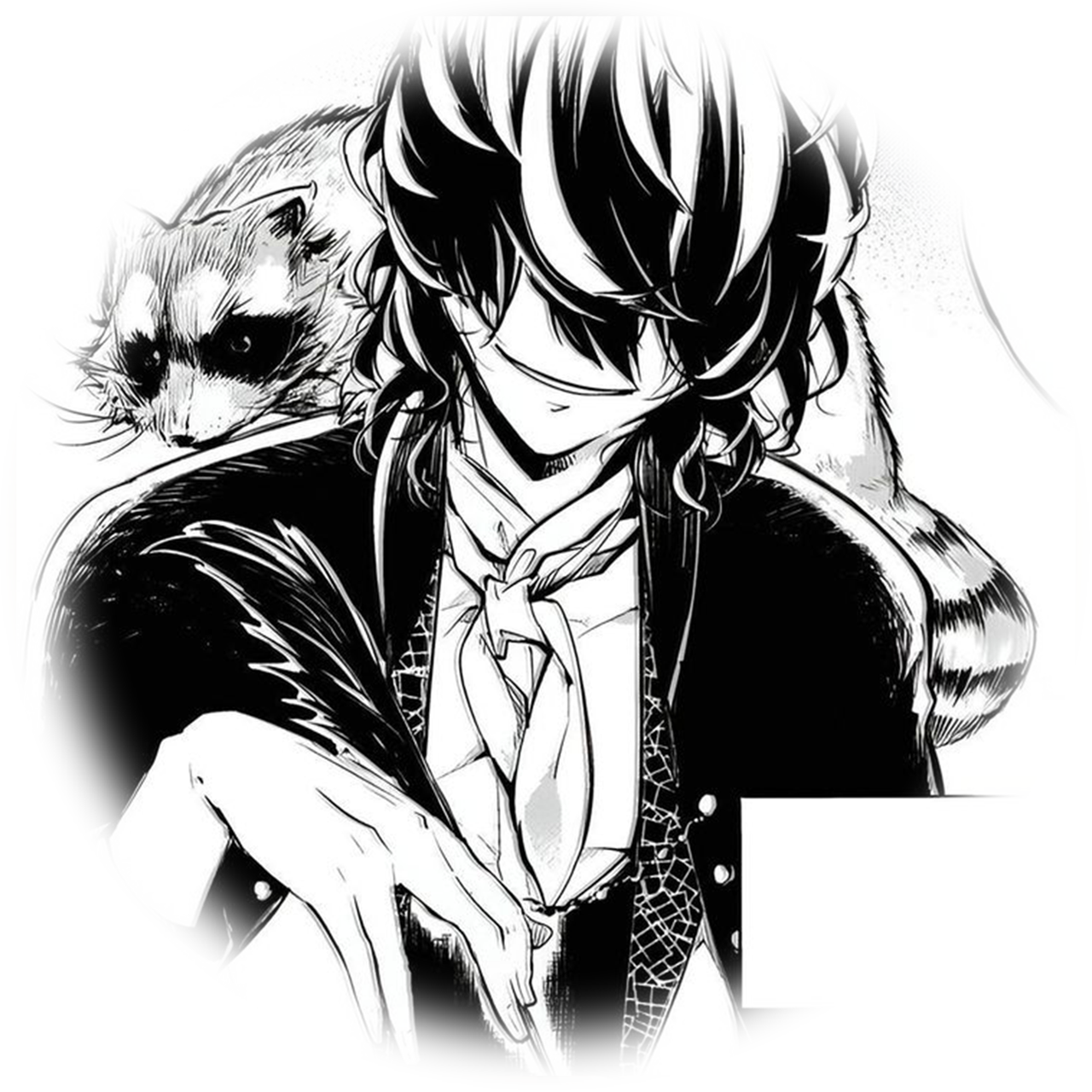 edgar allan poe ﹐ bungou stray dogs