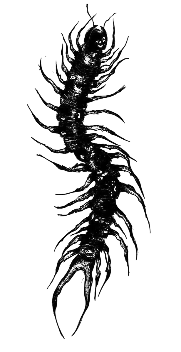 Centipede