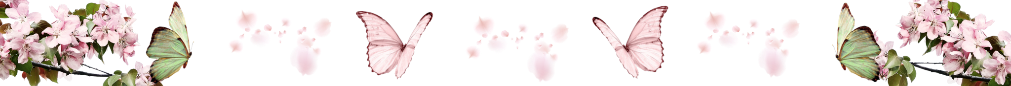 div by dollywons on tumblr