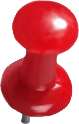 Pin