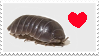 IMG_1449.png