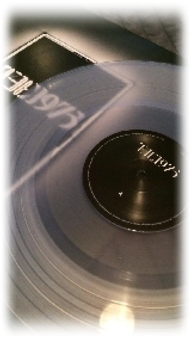 the 1975