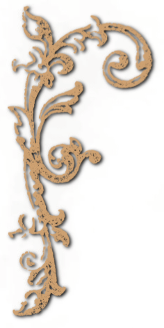 Corner Border Corner Border