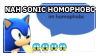 sonic homophobe