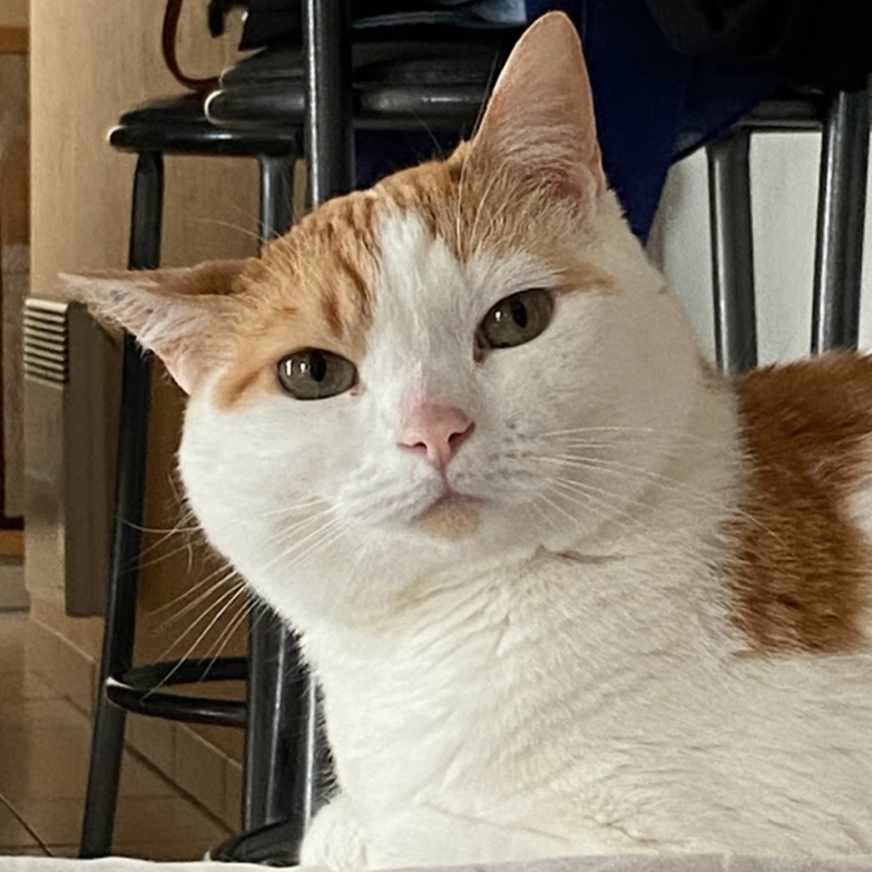 Céleste