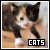 Cats fanlisting