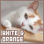 White and Orange Cats fanlisting