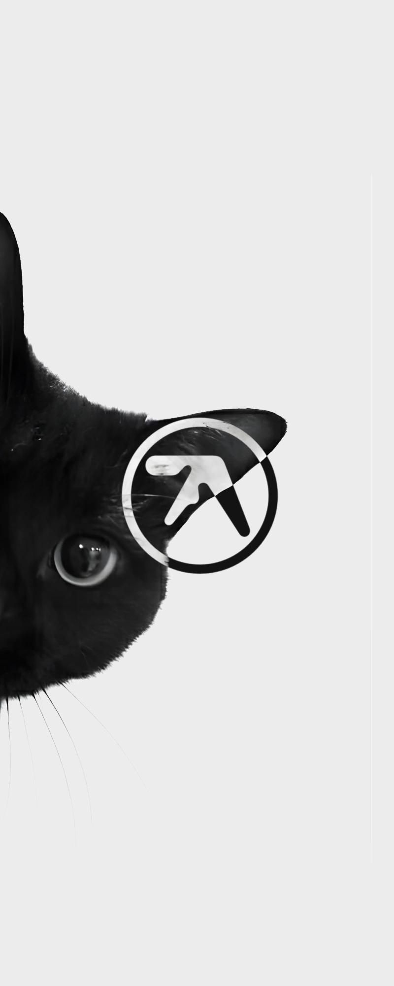 Mobile wallpaper 13