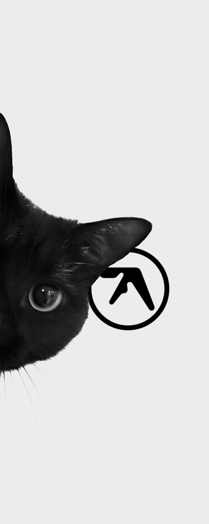 Mobile wallpaper 12