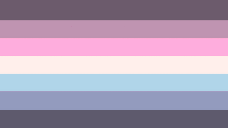 demibinary flag (by boygirlfemme/dailyproqueer)