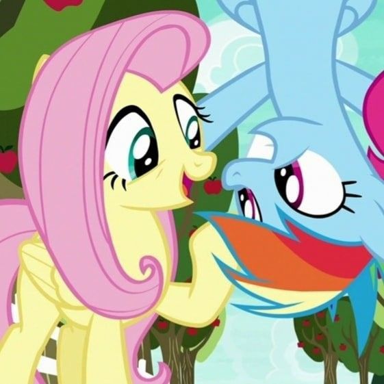 fluttershy and rainbow dash