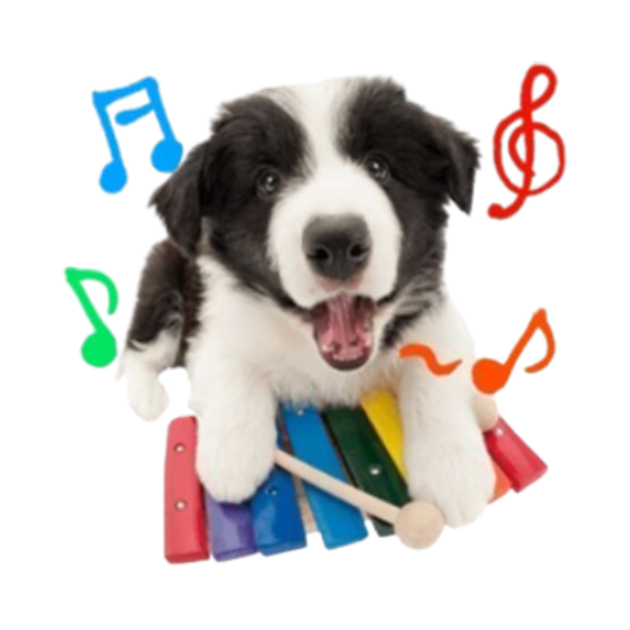 A png of a border collie playing the xylophone