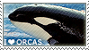 i_love_orcas_by_wishmasteralchemist_d1ir
