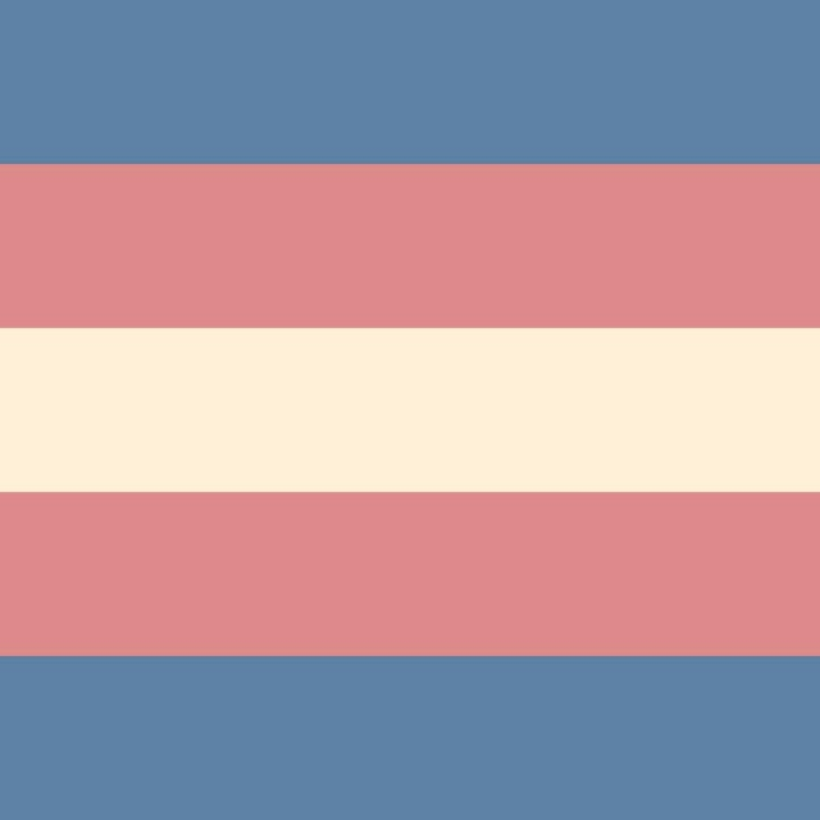 trans flag