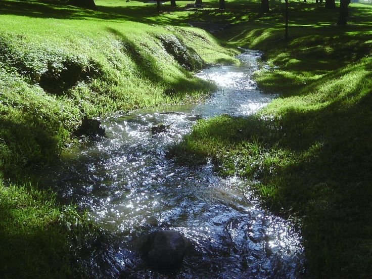 lake.jpg