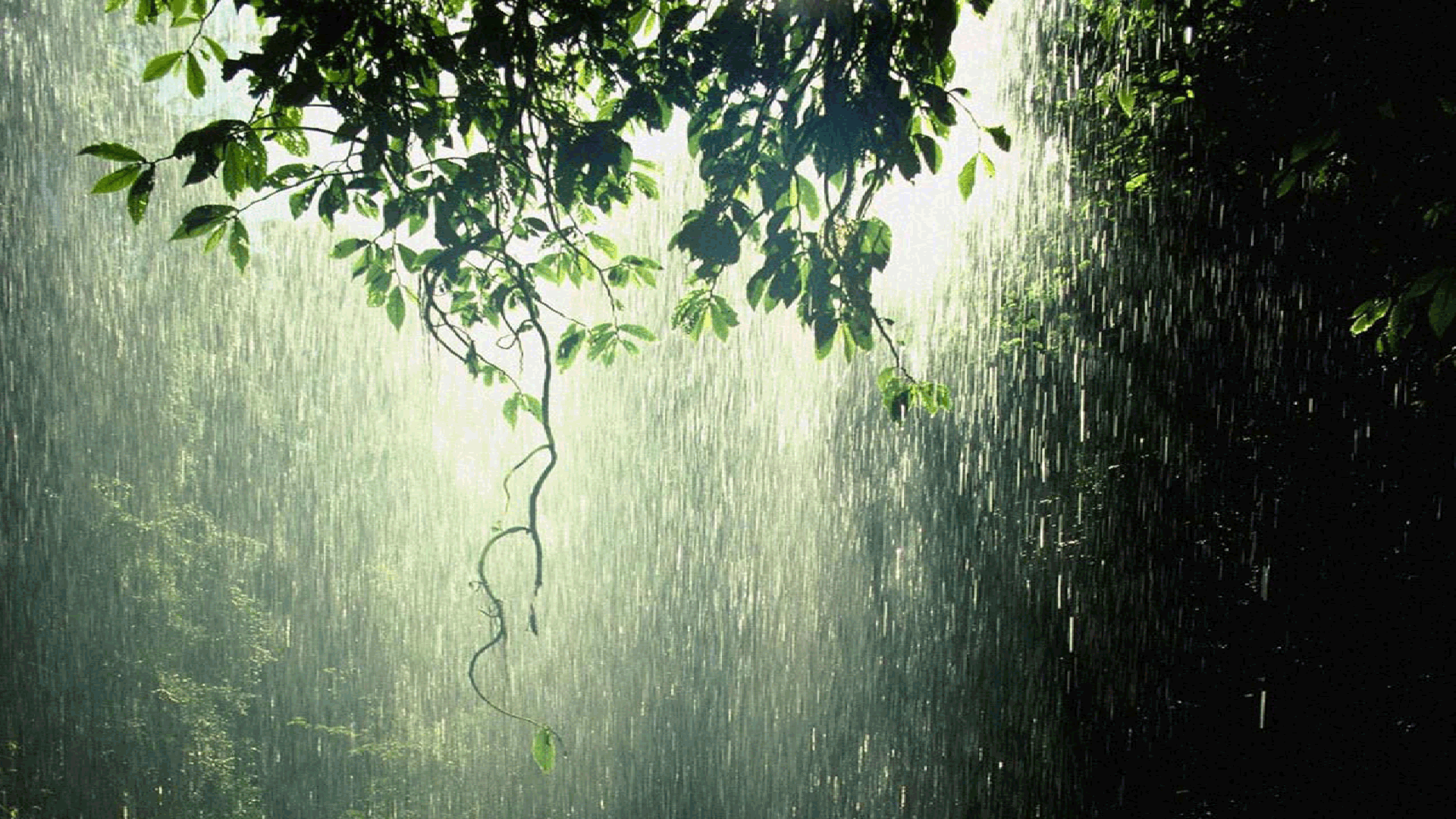 rain.gif