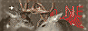 my website button