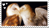 barn%20owls%20stamp.png