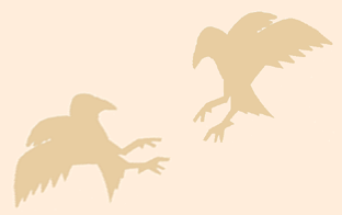 birds